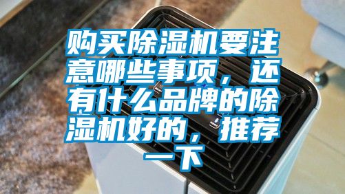購買除濕機(jī)要注意哪些事項(xiàng)，還有什么品牌的除濕機(jī)好的，推薦一下
