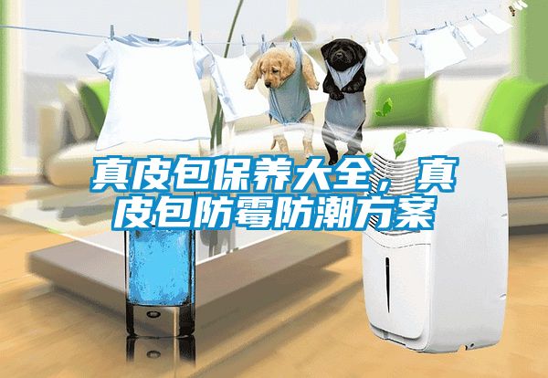 真皮包保養(yǎng)大全，真皮包防霉防潮方案