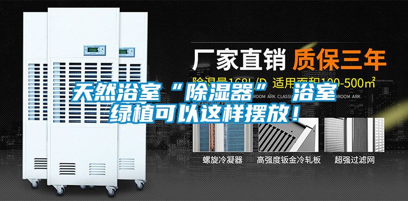 天然浴室“除濕器” 浴室綠植可以這樣擺放！