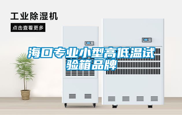?？趯I(yè)小型高低溫試驗(yàn)箱品牌