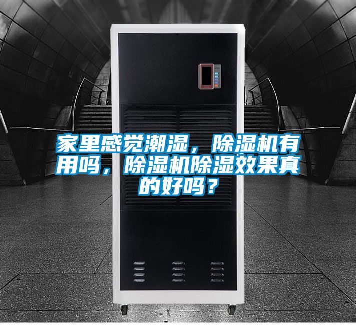 家里感覺潮濕，除濕機有用嗎，除濕機除濕效果真的好嗎？