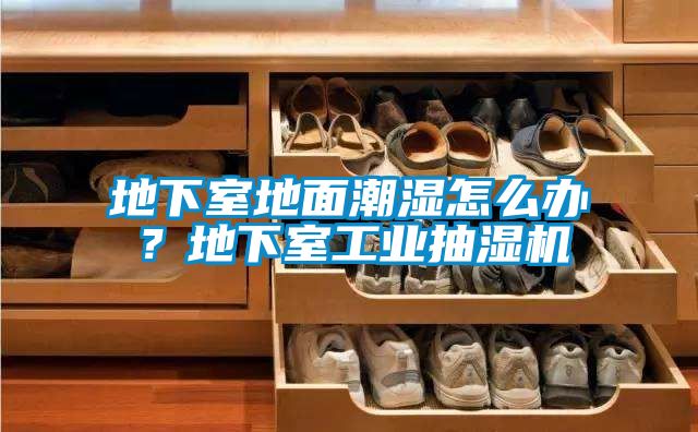地下室地面潮濕怎么辦？地下室工業(yè)抽濕機