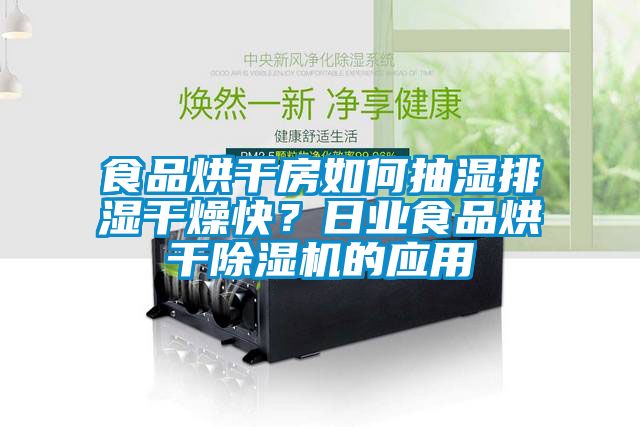 食品烘干房如何抽濕排濕干燥快？日業(yè)食品烘干除濕機的應(yīng)用