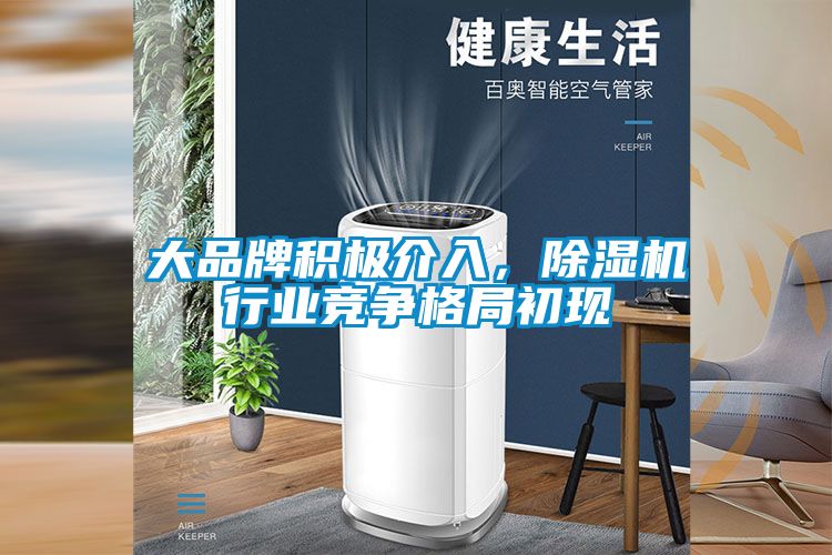 大品牌積極介入，除濕機(jī)行業(yè)競爭格局初現(xiàn)