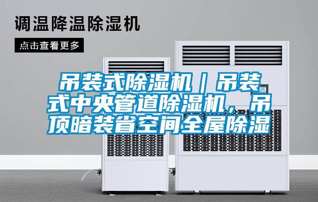 吊裝式除濕機｜吊裝式中央管道除濕機，吊頂暗裝省空間全屋除濕