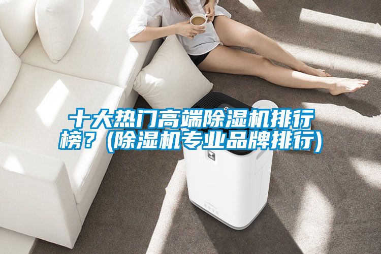 十大熱門高端除濕機(jī)排行榜？(除濕機(jī)專業(yè)品牌排行)