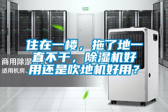 住在一樓，拖了地一直不干，除濕機好用還是吹地機好用？
