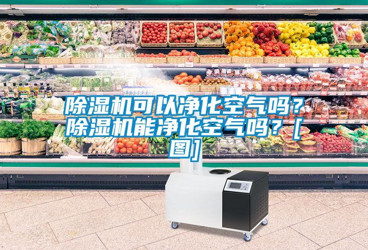 除濕機可以凈化空氣嗎？除濕機能凈化空氣嗎？[圖]