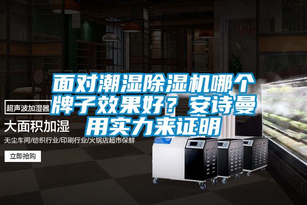 面對潮濕除濕機哪個牌子效果好？安詩曼用實力來證明