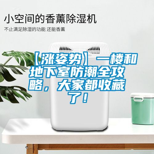 【漲姿勢】一樓和地下室防潮全攻略，大家都收藏了！