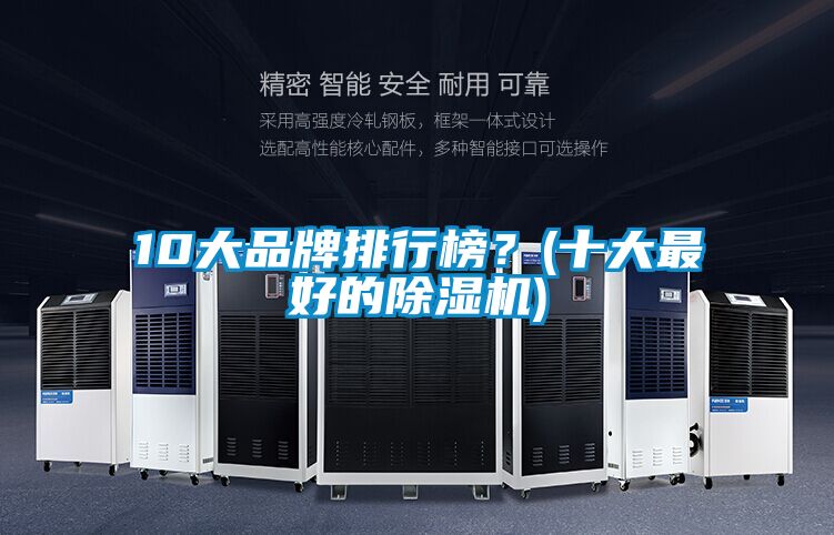10大品牌排行榜？(十大最好的除濕機(jī))