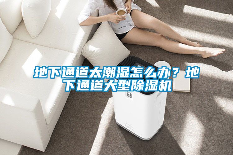 地下通道太潮濕怎么辦？地下通道大型除濕機(jī)