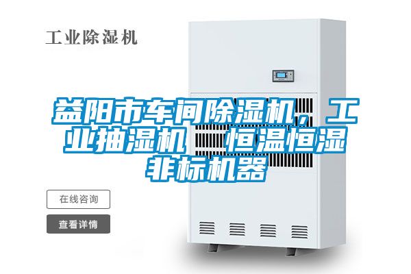 益陽(yáng)市車間除濕機(jī)，工業(yè)抽濕機(jī)  恒溫恒濕非標(biāo)機(jī)器