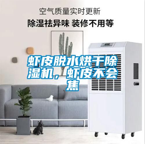 蝦皮脫水烘干除濕機(jī)，蝦皮不會(huì)焦