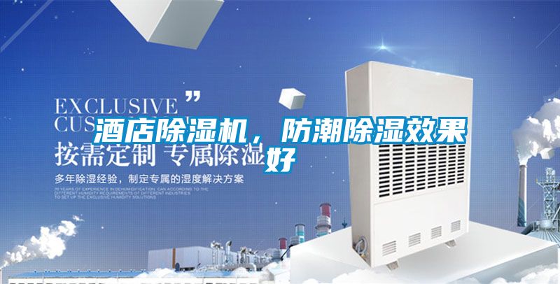 酒店除濕機(jī)，防潮除濕效果好