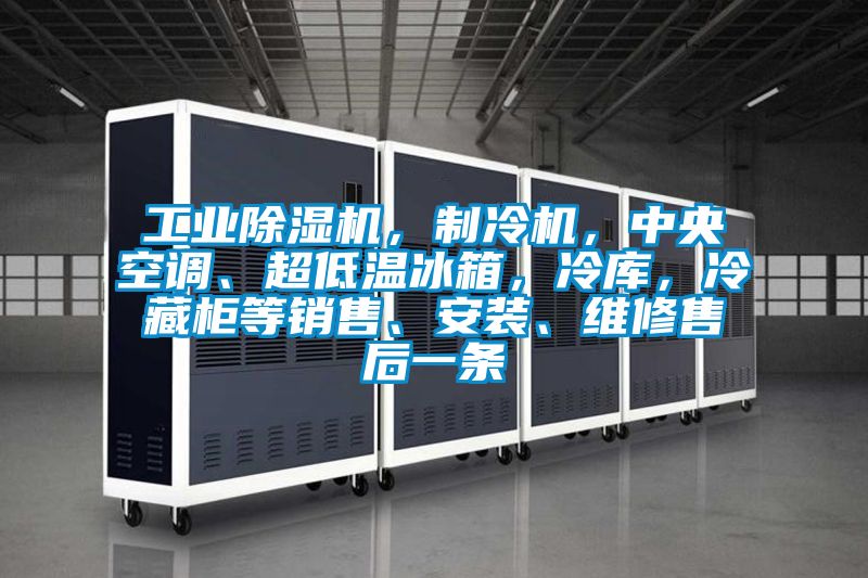 工業(yè)除濕機(jī)，制冷機(jī)，中央空調(diào)、超低溫冰箱，冷庫(kù)，冷藏柜等銷(xiāo)售、安裝、維修售后一條