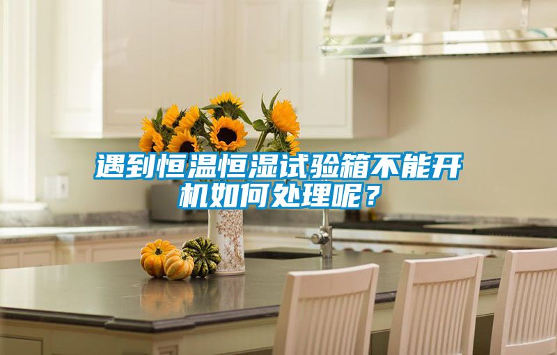 遇到恒溫恒濕試驗(yàn)箱不能開機(jī)如何處理呢？