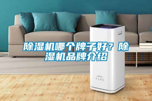 除濕機(jī)哪個(gè)牌子好？除濕機(jī)品牌介紹