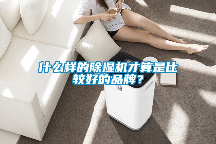 什么樣的除濕機才算是比較好的品牌？