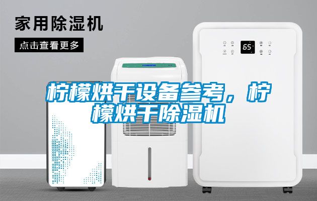 檸檬烘干設(shè)備參考，檸檬烘干除濕機