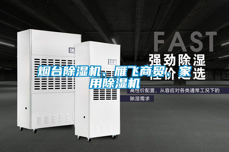 煙臺(tái)除濕機(jī)、雁飛商貿(mào)、家用除濕機(jī)