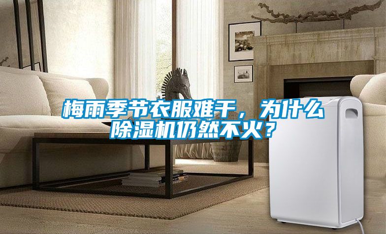 梅雨季節(jié)衣服難干，為什么除濕機仍然不火？
