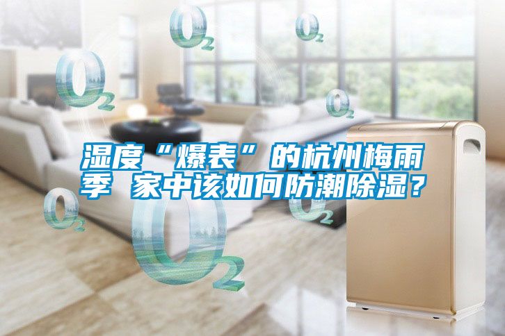 濕度“爆表”的杭州梅雨季 家中該如何防潮除濕？