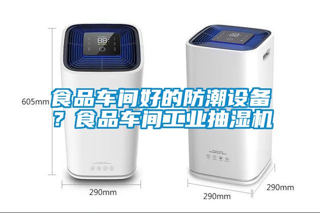食品車間好的防潮設備？食品車間工業(yè)抽濕機