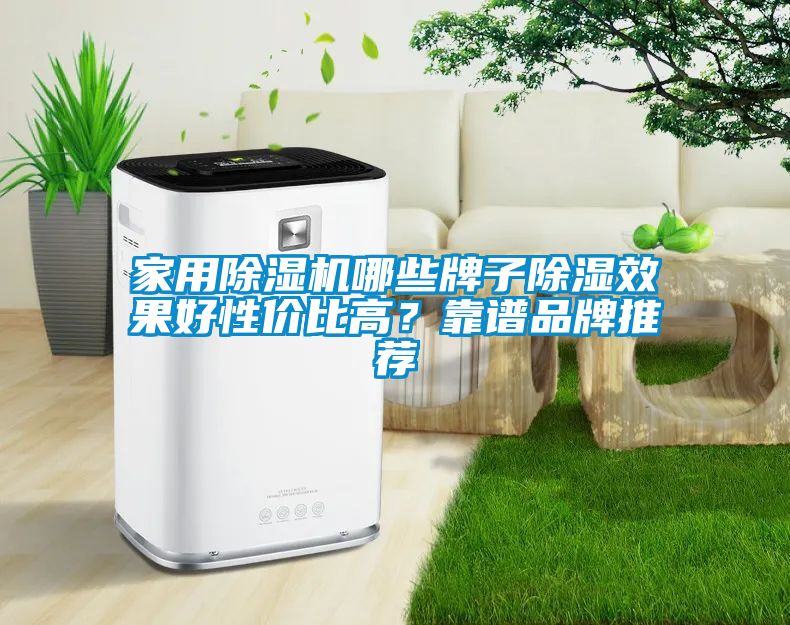 家用除濕機(jī)哪些牌子除濕效果好性價比高？靠譜品牌推薦