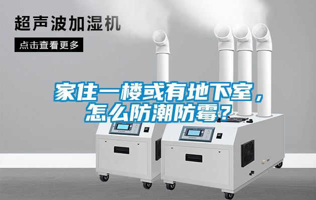 家住一樓或有地下室，怎么防潮防霉？