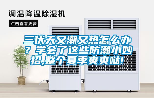 三伏天又潮又熱怎么辦？學(xué)會(huì)了這些防潮小妙招,整個(gè)夏季爽爽噠!