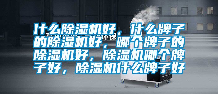 什么除濕機(jī)好，什么牌子的除濕機(jī)好，哪個牌子的除濕機(jī)好，除濕機(jī)哪個牌子好，除濕機(jī)什么牌子好
