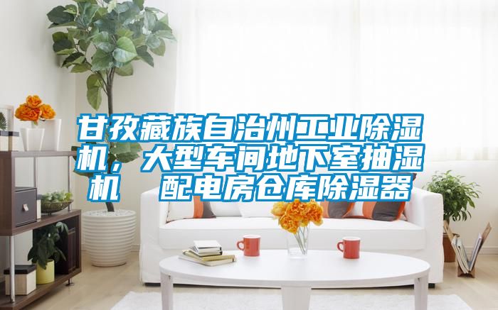甘孜藏族自治州工業(yè)除濕機，大型車間地下室抽濕機  配電房倉庫除濕器