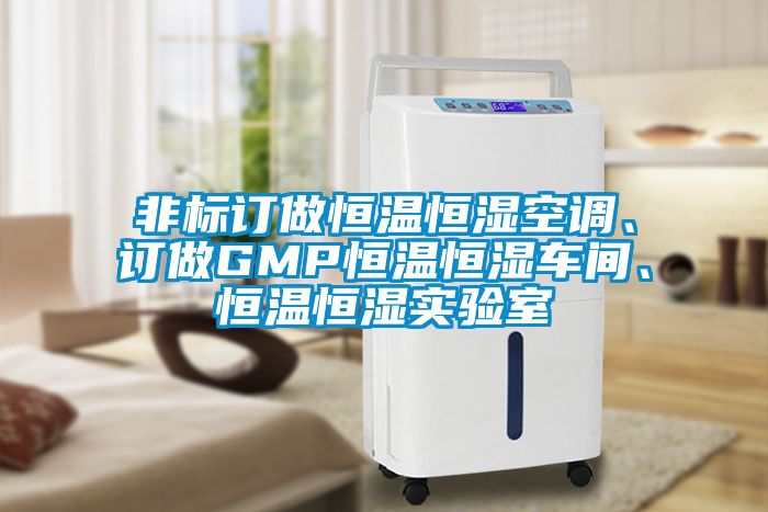 非標訂做恒溫恒濕空調(diào)、訂做GMP恒溫恒濕車間、恒溫恒濕實驗室