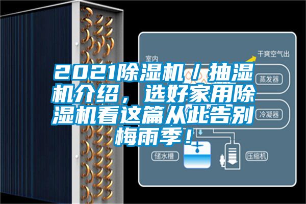 2021除濕機／抽濕機介紹，選好家用除濕機看這篇從此告別梅雨季！