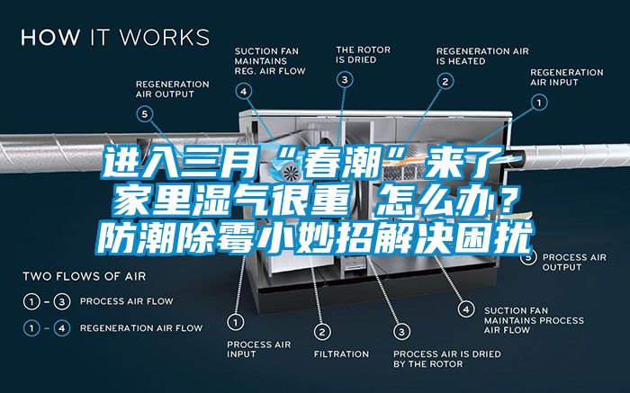進入三月“春潮”來了 家里濕氣很重 怎么辦？防潮除霉小妙招解決困擾