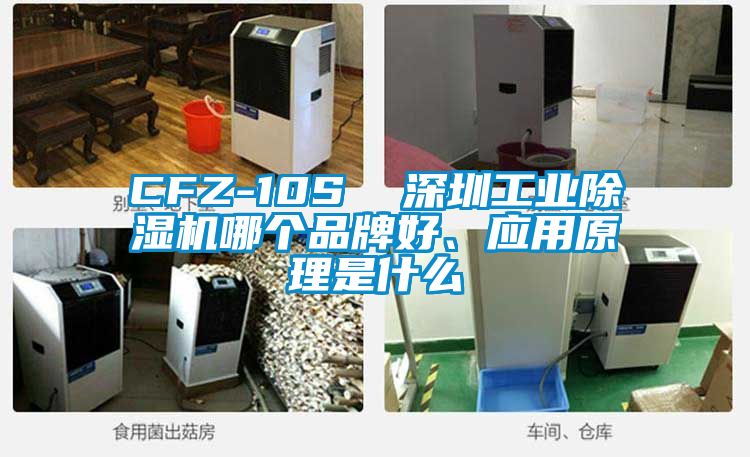 CFZ-10S  深圳工業(yè)除濕機哪個品牌好、應(yīng)用原理是什么