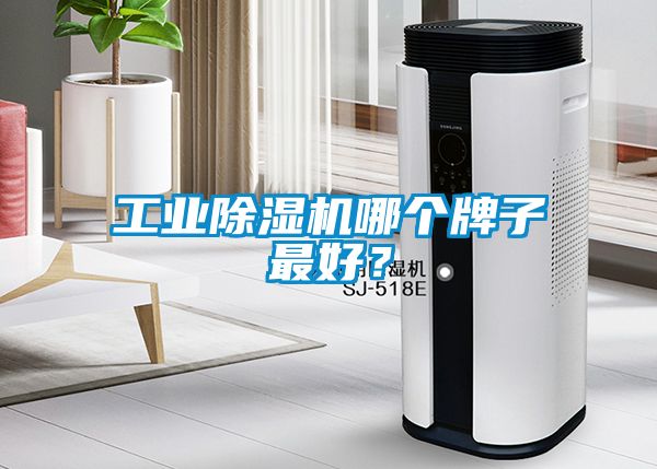 工業(yè)除濕機哪個牌子最好？