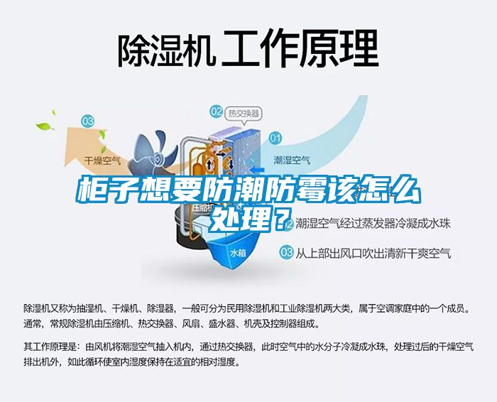 柜子想要防潮防霉該怎么處理？